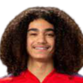 https://img.hokecodvsa.com/img/football/player/87359ed9061cfd73513d827263deebcd.png