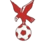 https://img.hokecodvsa.com/img/football/team/4802d26df935b78bb2fcdbbff36e8864.png